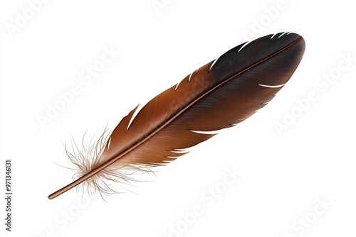 A beautifully detailed brown feather with delicate strands, perfect for artistic and nature-inspired compositions. photo