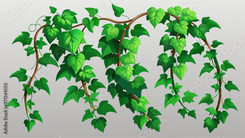 Ivy vines isolated on transparent background. green climbing plant leaves and lianas, botanical creeper decorative frame or border. Garden Hedera hanging branches, Realistic 3d vector illustration