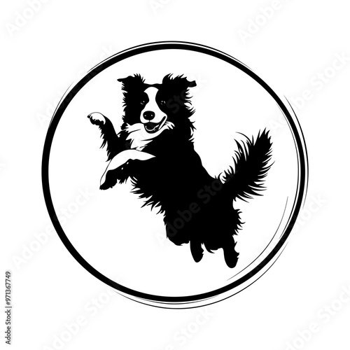 Black vector silhouette of a dog jumping through a hoop isolated. Dog training illustration. Border Collie, Scotch Sheep Dog, Sheepdog.