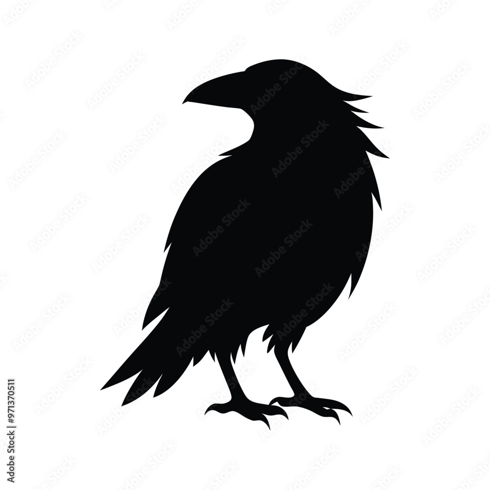 Realistic raven silhouette vector. Realistic raven silhouette vector.