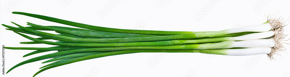 green onions isolated on a white background green onions isolated on a white background