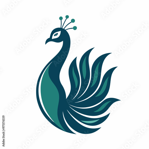 peacock vector, silhouette vector, clean and clear, peacock feather vector