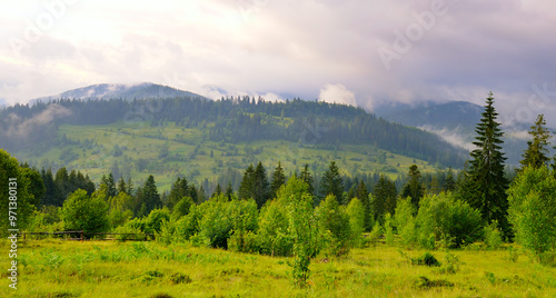 Misty Carpathian mountain valley after the rain.