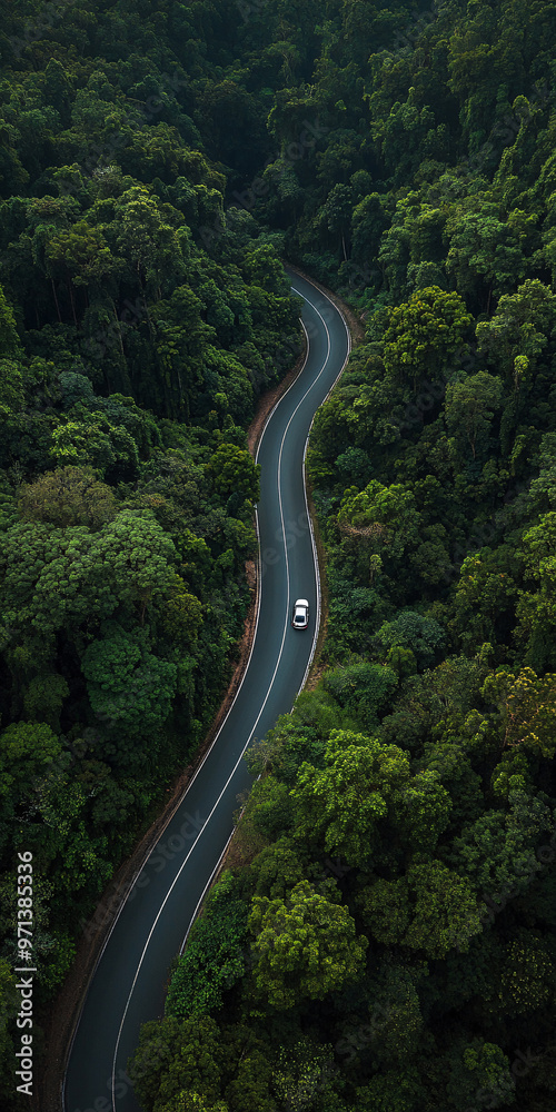 Top down view of curvy, asphalt road surrounded by bunch of evergreen trees. car driving on the road. Beautiful aerial view of dense forest mountain landscape in summer time with curvy road cutting th Top down view of curvy, asphalt road surrounded by bunch of evergreen trees. car driving on the road. Beautiful aerial view of dense forest mountain landscape in summer time with curvy road cutting th