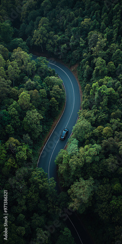 Top down view of curvy, asphalt road surrounded by bunch of evergreen trees. car driving on the road. Beautiful aerial view of dense forest mountain landscape in summer time with curvy road cutting th