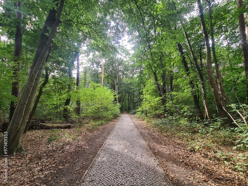 nature path in Berlin Grünau / Treptow - Köpenick photo