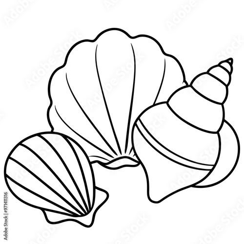 seashells outline coloring book page line art drawing photo