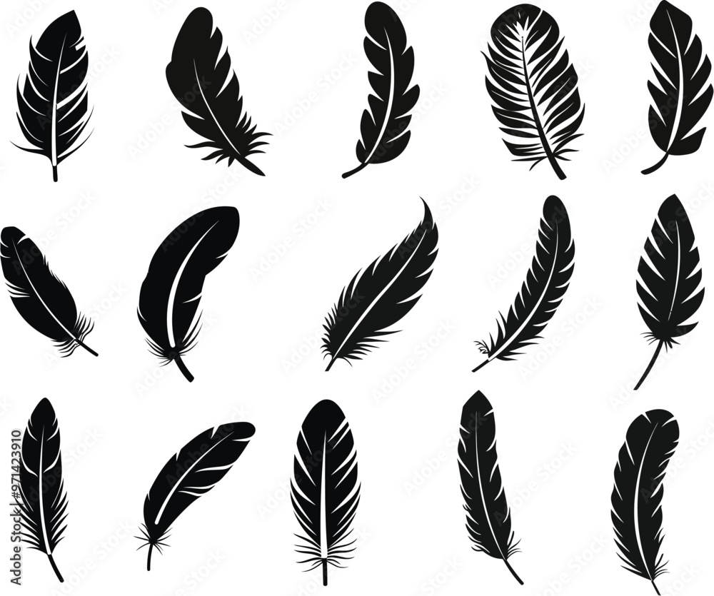 collection of feathers silhouettes collection of feathers silhouettes