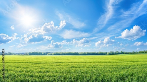 Serene Sky Over Green Fields