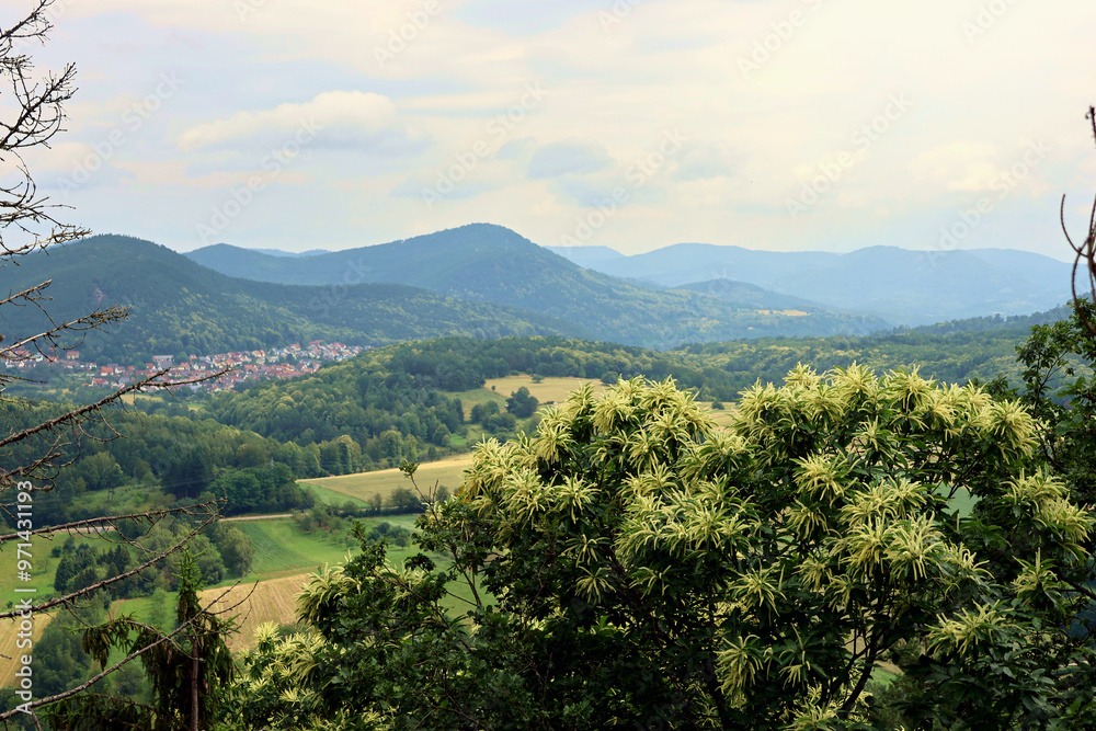 Naklejka premium Aussicht vom Premium-Wanderweg Dimbacher Buntsandstein Höhenweg im Pfälzerwald. 