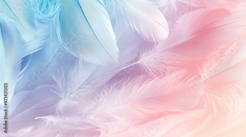 Soft Colorful Feathers Background