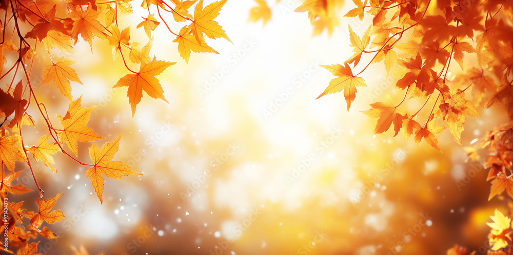 Colorful background with autumn twigs and leaves on a blurred sunny backdrop Colorful background with autumn twigs and leaves on a blurred sunny backdrop