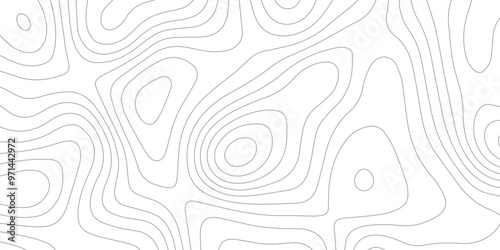 Abstract wave paper curved reliefs background .gradient multicolor wave curve lines banner background design .topographic contours map background .Vector geographic contour map.	