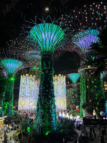 Canvas Print trees at night