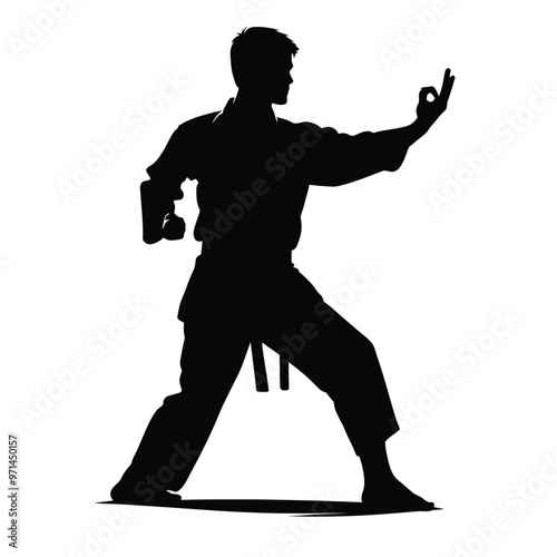 Martial Arts Instructor Silhouette