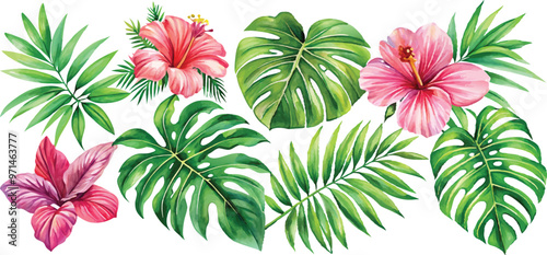 A set of exotic tropical leaves and flowers of plumeria hibiscus strelitzia