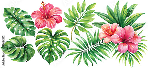 A set of exotic tropical leaves and flowers of plumeria hibiscus strelitzia