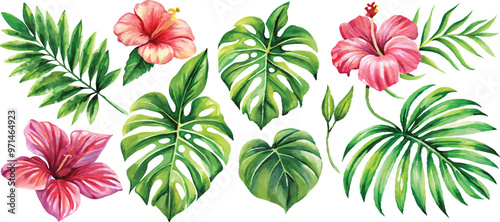 A set of exotic tropical leaves and flowers of plumeria hibiscus strelitzia