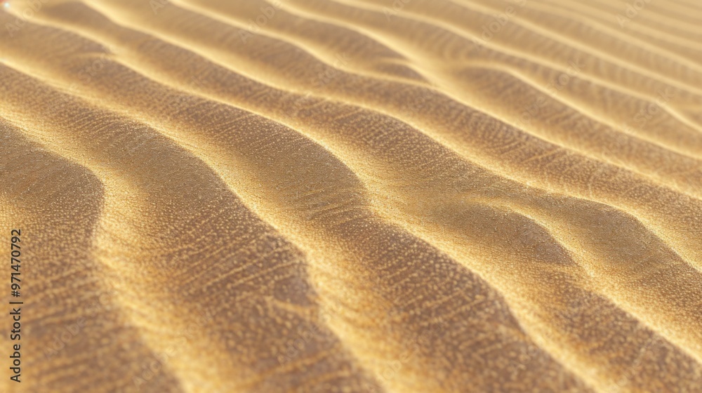 Golden Sand Dunes: A Desert Landscape Photography Golden Sand Dunes: A Desert Landscape Photography