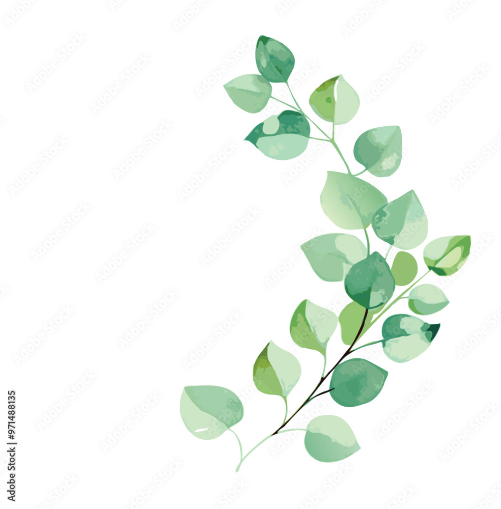 Obraz premium Watercolor vector wreath with green eucalyptus leaves and branches.