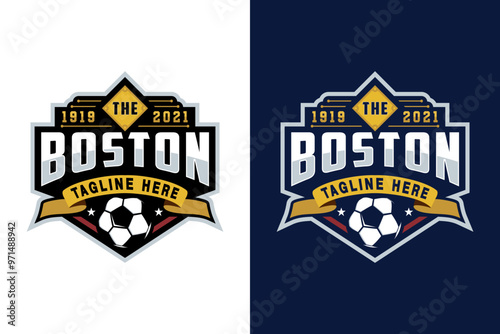 Vintage badge emblem Football soccer sport team club league logo with shield and ball concept icon vector