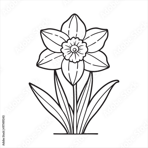 Daffodil Flower Vector Art Illustration