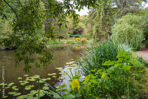 Photography pond of the british botanical garden of Bratislava