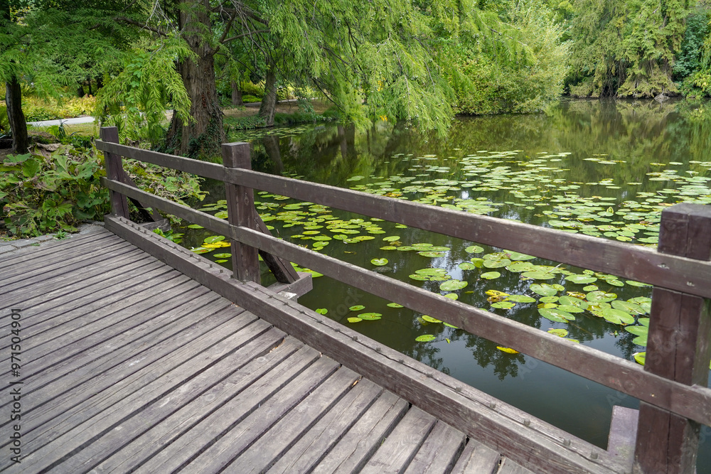pond of the british botanical garden of Bratislava pond of the british botanical garden of Bratislava