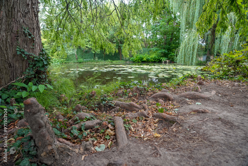 Φωτογραφία pond of the british botanical garden of Bratislava
