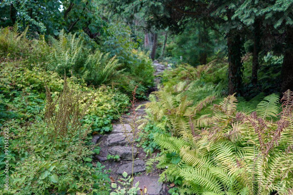 pathway in the british botanical garden of Bratislava pathway in the british botanical garden of Bratislava