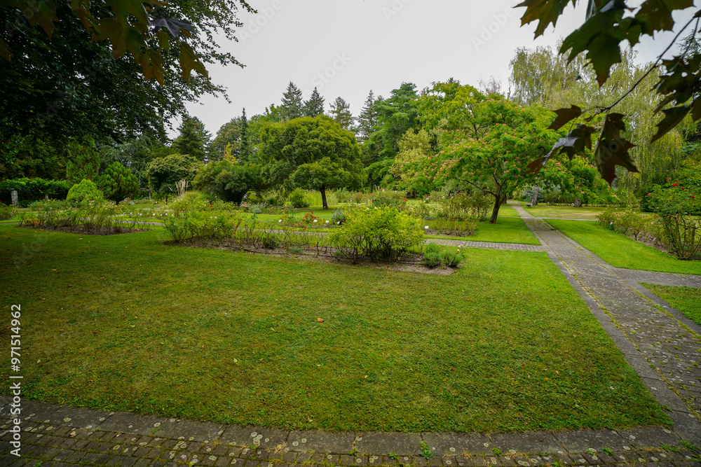 Obraz premium british botanical garden of Bratislava