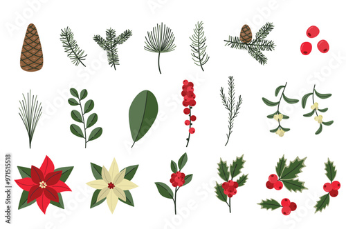Christmas botanical set. Winter plants. Illustration of pine branches, holly, mistletoe, poinsettias, and berries. Holiday decoration elements.