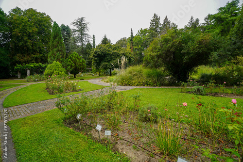 Photography british botanical garden of Bratislava