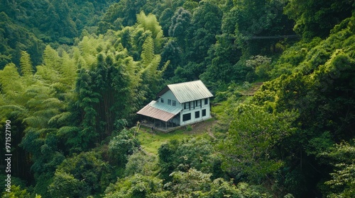  A house surrounded by trees in a forest ..Or:..An aerial perspective of a house encircled by trees in a