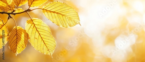  A yellow leaf on a tree branch, closely focused, surrounded by a softly blurred foreground of leaves