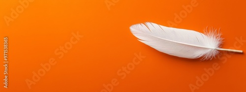  A white feather atop an orange background with a matchstick emerging from its middle