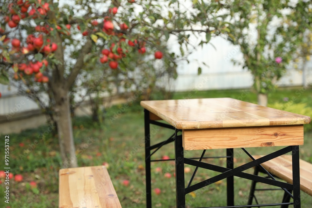 Wooden table with benches in apple garden Wooden table with benches in apple garden