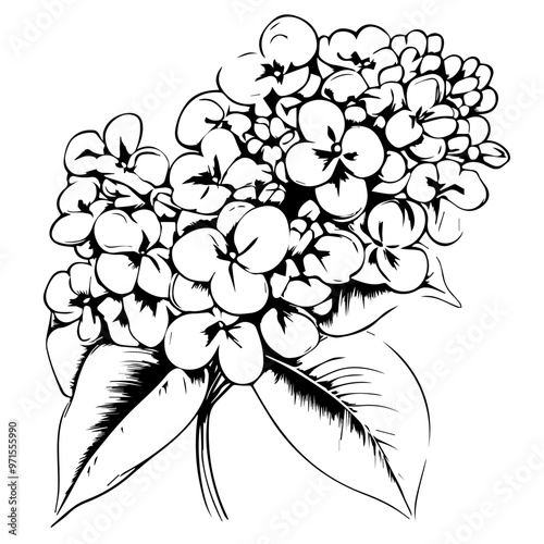 Flower Vector