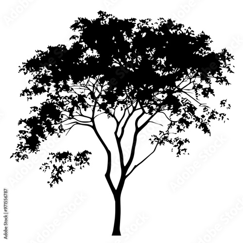 Tree Vector