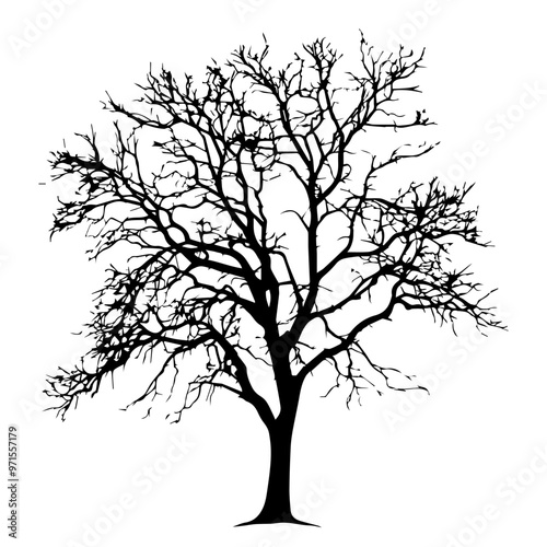 Tree Vector