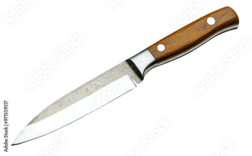 Knife with wooden handle. Transparent background