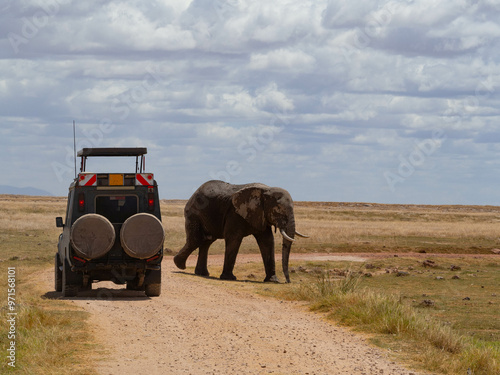 A big African elephant crossing in front of a tourist 4x4 vehicle photo