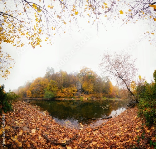 autumn in the lake woods