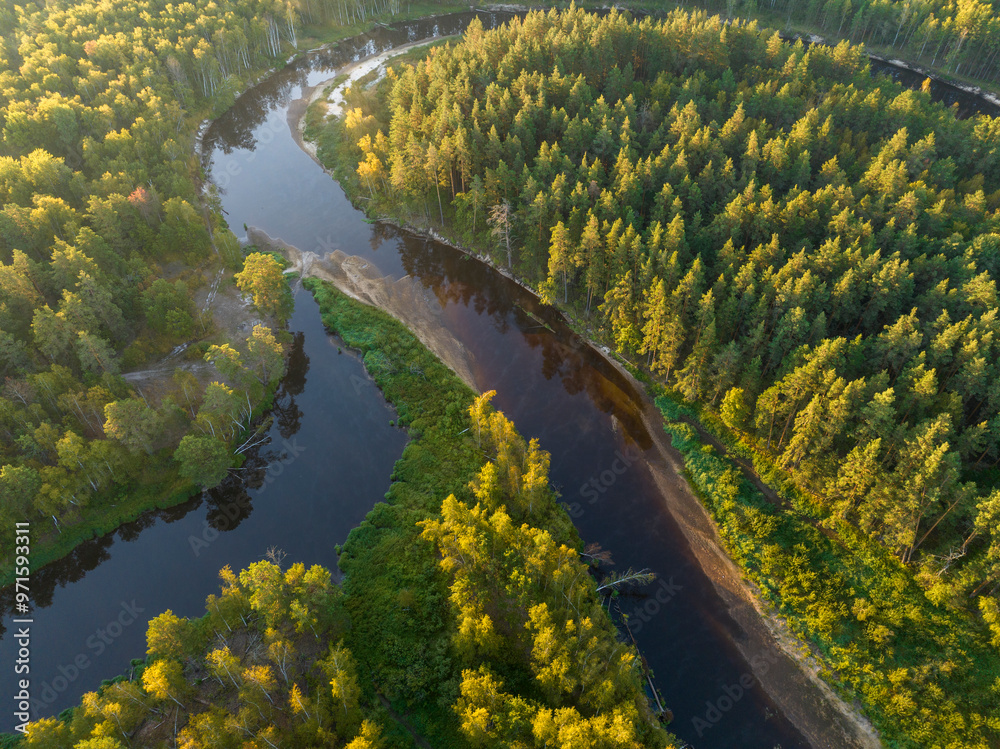 Meschersky national park, river Pra meandering among pine and birch forest, september morning, aerial photo