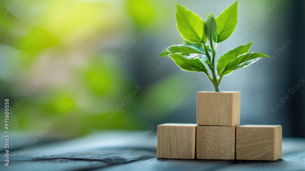 A small green plant sprouts from a stack of wooden blocks, symbolizing growth and progress. A small green plant sprouts from a stack of wooden blocks, symbolizing growth and progress.