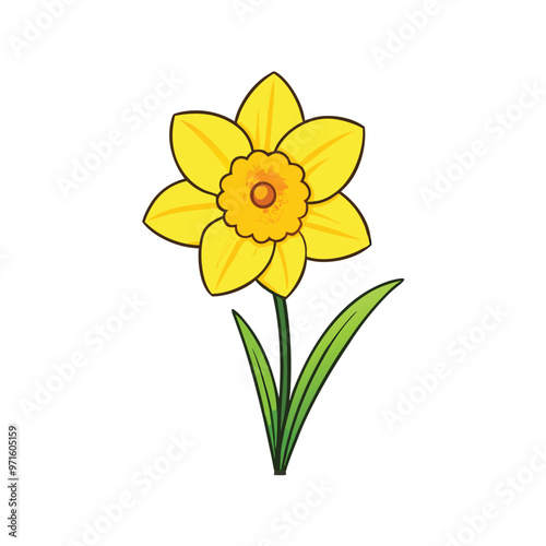 a Daffodil  flower silhouette vector art illustration, isolated white background, 