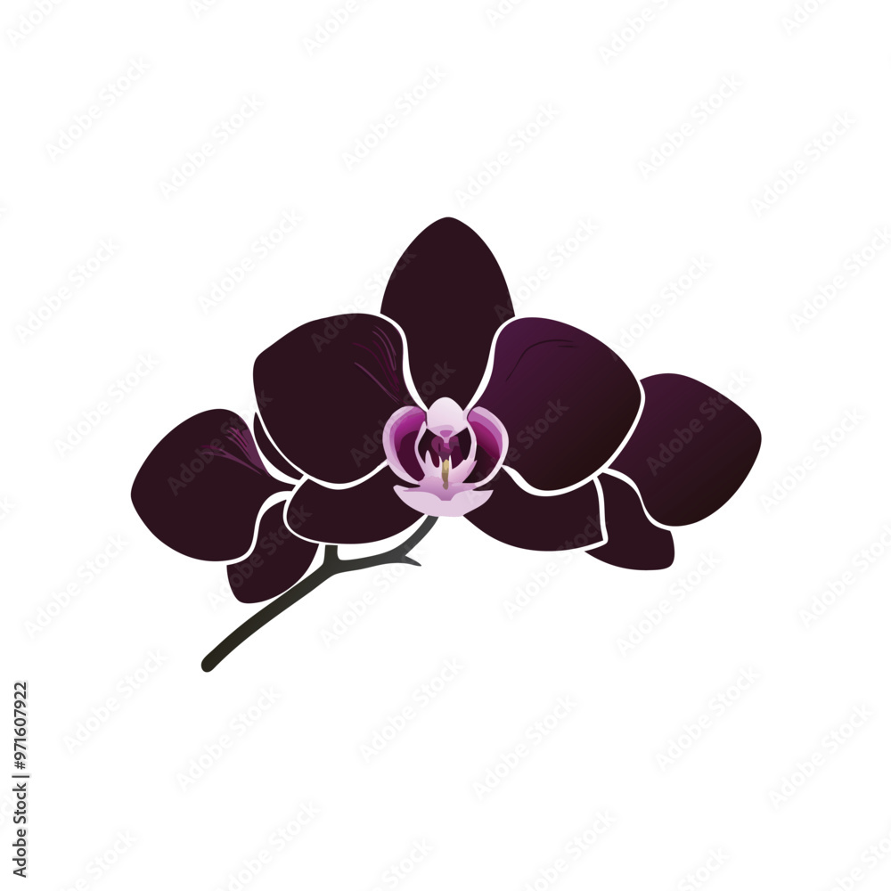 a Orchid silhouette vector art illustration, isolated white background 