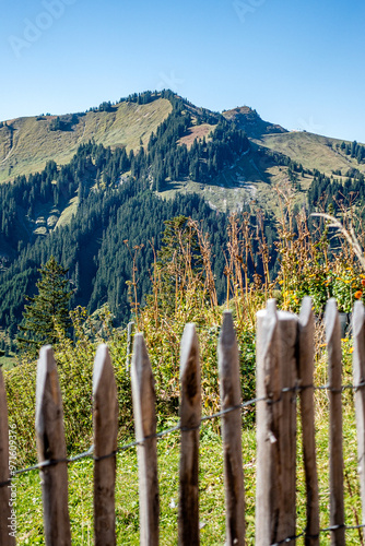 Berglandschaft im Mannheimer Tal