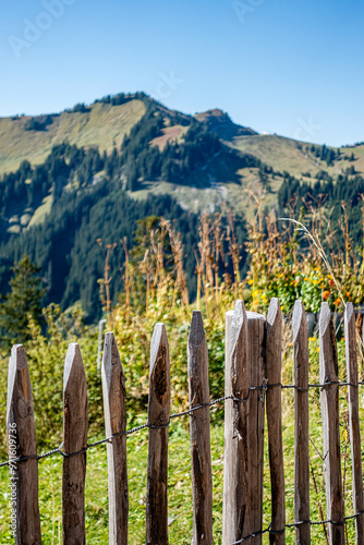 Berglandschaft im Tannheimer Tal