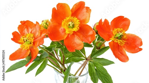  A vase with orange flowers atop a white table, near a green-leafed vase